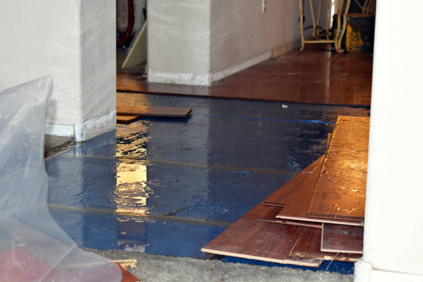 Professional Basement Flood Cleanup technician working in Missouri City, TX